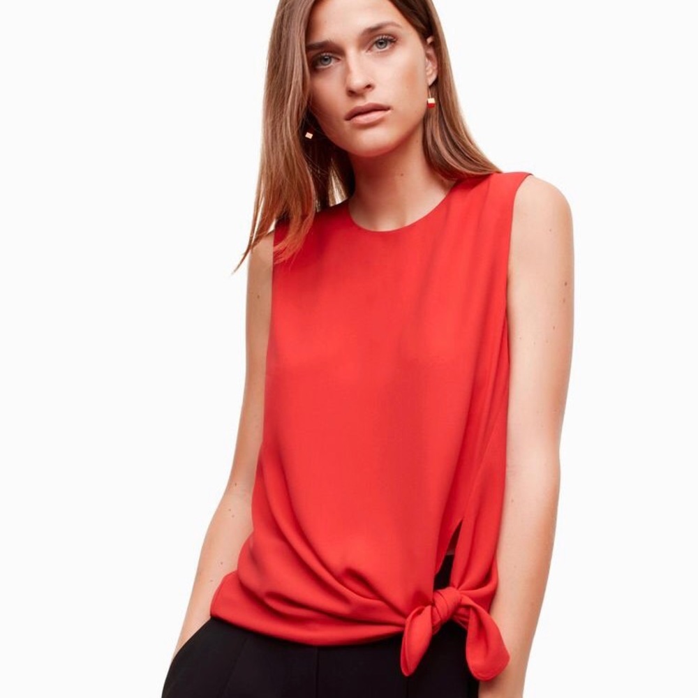 ⭐️Flash Sale⭐️ Babaton Tie-Front Top (Aritzia)